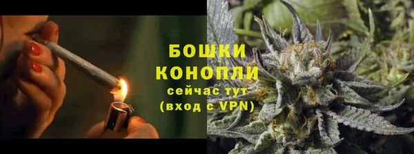 индика Нефтегорск