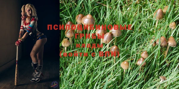 круглые Надым