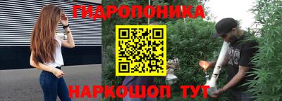 прущие грибы Гагарин