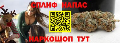 гашик Гатчина