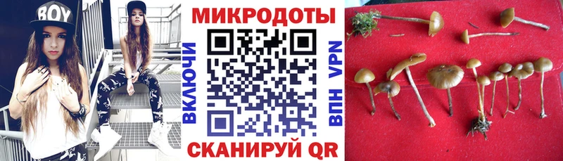 Псилоцибиновые грибы Psilocybe  гидра ссылки  Полевской 