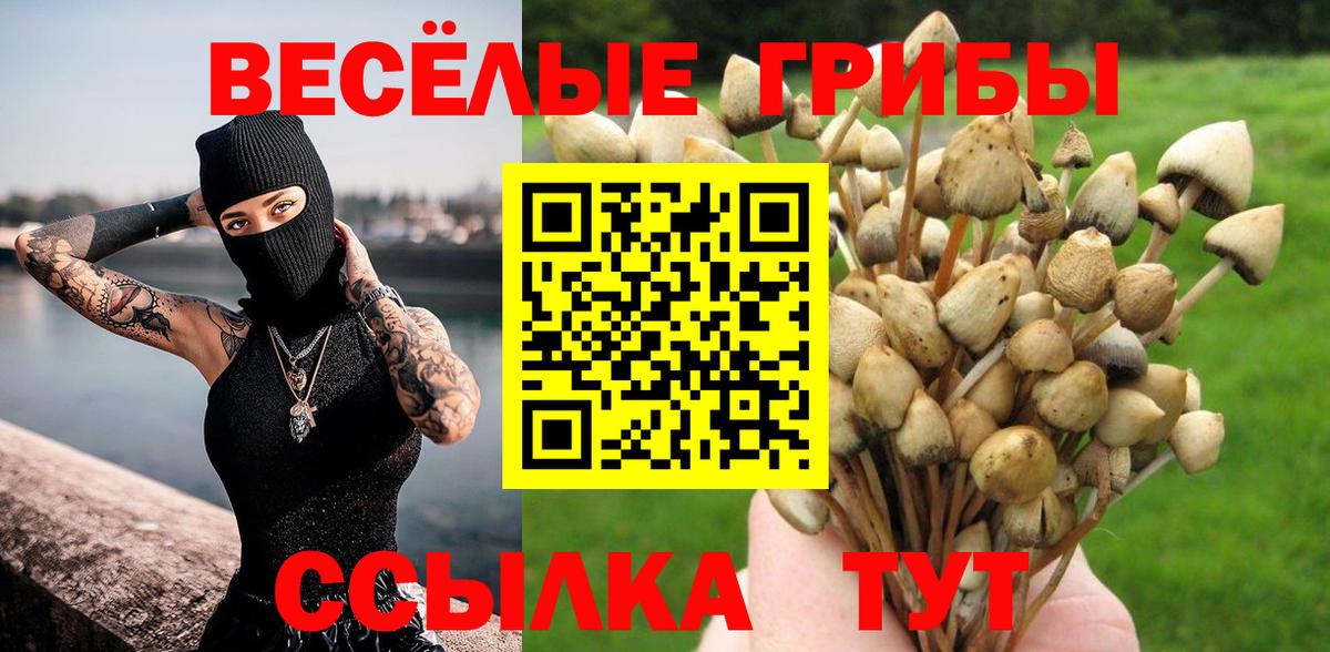 Псилоцибиновые грибы ЛСД  Вход с VPN  Псилоцибиновые грибы мицелий  Полевской 